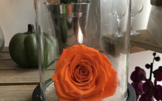 Candice Créations - Rose éternelle